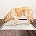 OUT! Odor Control Extra Large Puppy Training Dog Pads | Absorbent Pet Training and Puppy Pads | 26 x 30 inches