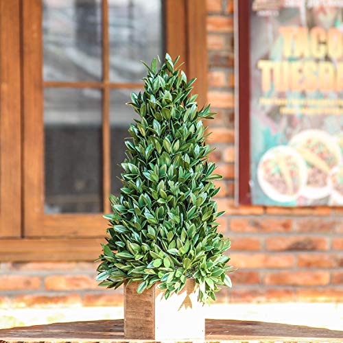 image for Jusdreen 20 Inch Spring Artificial Flower Potted Plants Bonsai Tree Or
