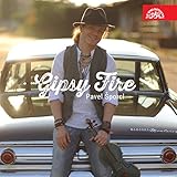 GIPSY FIRE                                         image