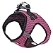Best Pet Supplies - All Weather Mesh/Plush, Reflective, No Pull Harness for Small, Medium Dogs, Cats - Secure with Hook & Loop Fastener, Buckle, Double D-Rings - Fuchsia 2-Tone, L