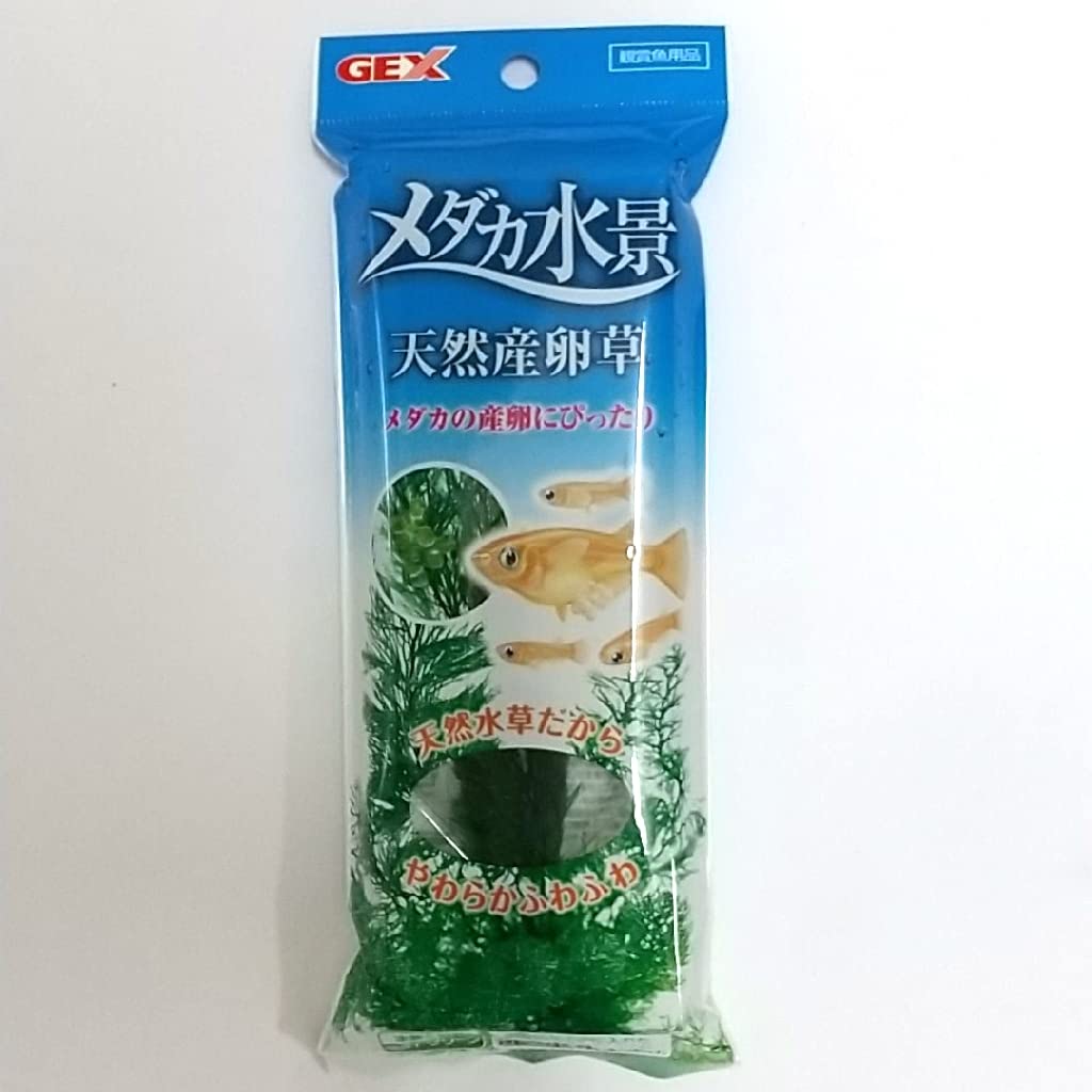 ジェックス メダカ元気 シダ メダカ水景 天然産卵草の商品画像