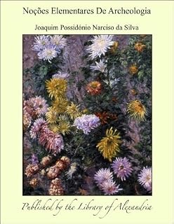 Livro Noções Elementares De Archeologia