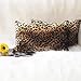 CARRIE HOME Soft Plush Leopard Print Faux Fur Lumbar Pillow Covers for Home Couch Sofa (Set of 2, 12x20 inch)