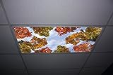 Fall Trees Skypanels - Replacement Fluorescent Light Diffuser