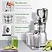 AMZCHEF Professional Slow Juicer, Vegetable & Fruit Juicer Machine, Two speeds, Silent motor ≤60dB, Cleaning brush & Juice jug Include, (150 Watts/Silver grey)