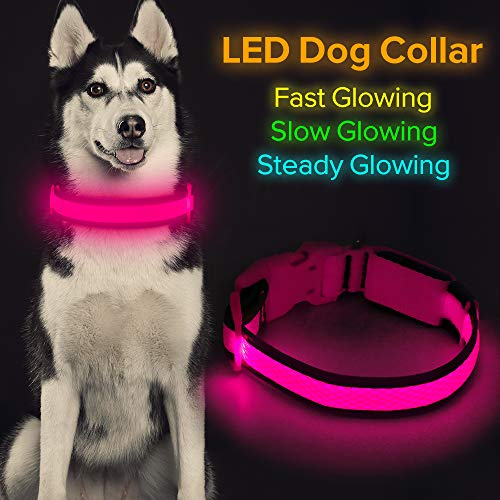 HiGuard LED Dog Collar, USB Rechargeable Glowing Pet Collar Night Safety LED Light Up with Nylon Webbing Perfect for Small, Medium, Large Dogs (Large Collar[17″-25.9″ inch / 43-66cm], Candy Pink)