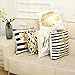Kingla Home Sofa Cushion Covers Flannel Bronzing Soft Couch Pillow Covers Golden Lip White Throw Pillow Covers 45x45cm 18x18 Inch
