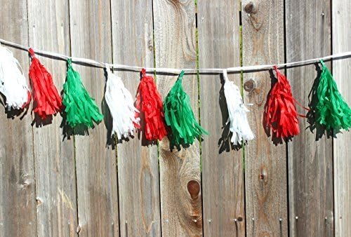 Mexican Party Decoration, Cinco De Mayo, Fiesta Party, Already Assembled 8 ft. w/16 Tassels Tissue Paper, Red White and Green