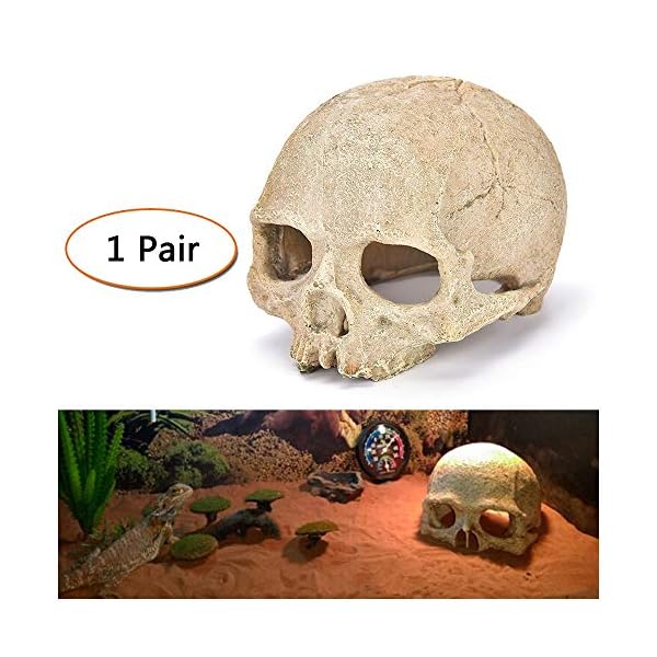LUCKFY Fish Tank Decoration Rettile Hideout Skull Acquario Rettilario del Cranio della Resina Cave Famiglia giornaliera…