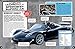 Car Record Breakers (Y)
