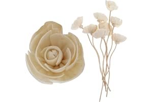 Roleader Aromatherapy Rattan Reed Diffuser Sticks Set of 9 with Dried Flower Accents Suitable for Home,