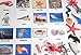 Curious Minds Busy Bags Montessori Animal Match - Miniature Ocean Animals with Matching Cards - 2 Part Cards. Montessori Learning Toy, Language Materials