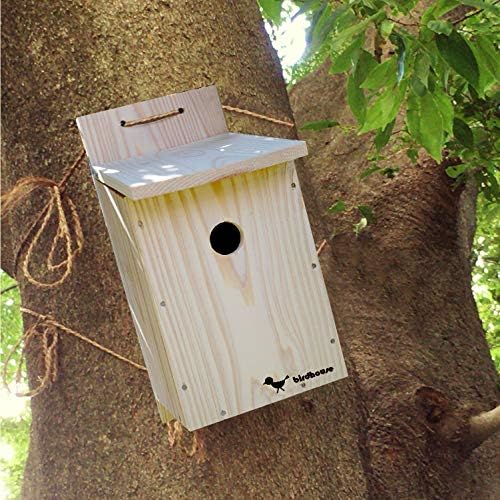 Amazon 野鳥用巣箱 完成品 すぐ取り付けできます バードハウスb 上ふたタイプ 親子体験 夏休みの自由研究 pta活動に キバコヤ 巣 巣箱 通販 Amazon 野鳥用巣箱 完成品 すぐ取り付けできます バードハウスb 上ふたタイプ 親子体験 夏休みの自由研究 pta活動に キバコヤ 巣 巣箱 通販