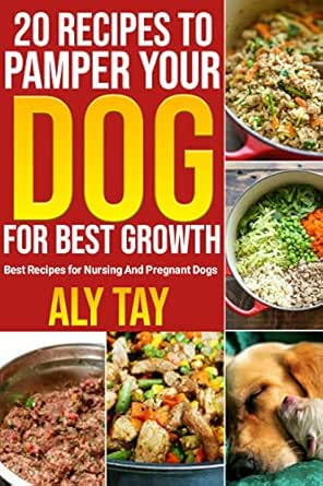 best dog food for pregnant dogs