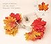 muscccm String Lights Maple Leaf Light Twinkle Hanging Lighting Decorations for Indoor Outdoor Garden Halloween Thanksgiving Christmas Party Décor Gradient Color(20 Lights)