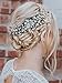 Barogirl Bride Hair Comb Wedding Crystal Headpiece Bridal Flower HairAccessories