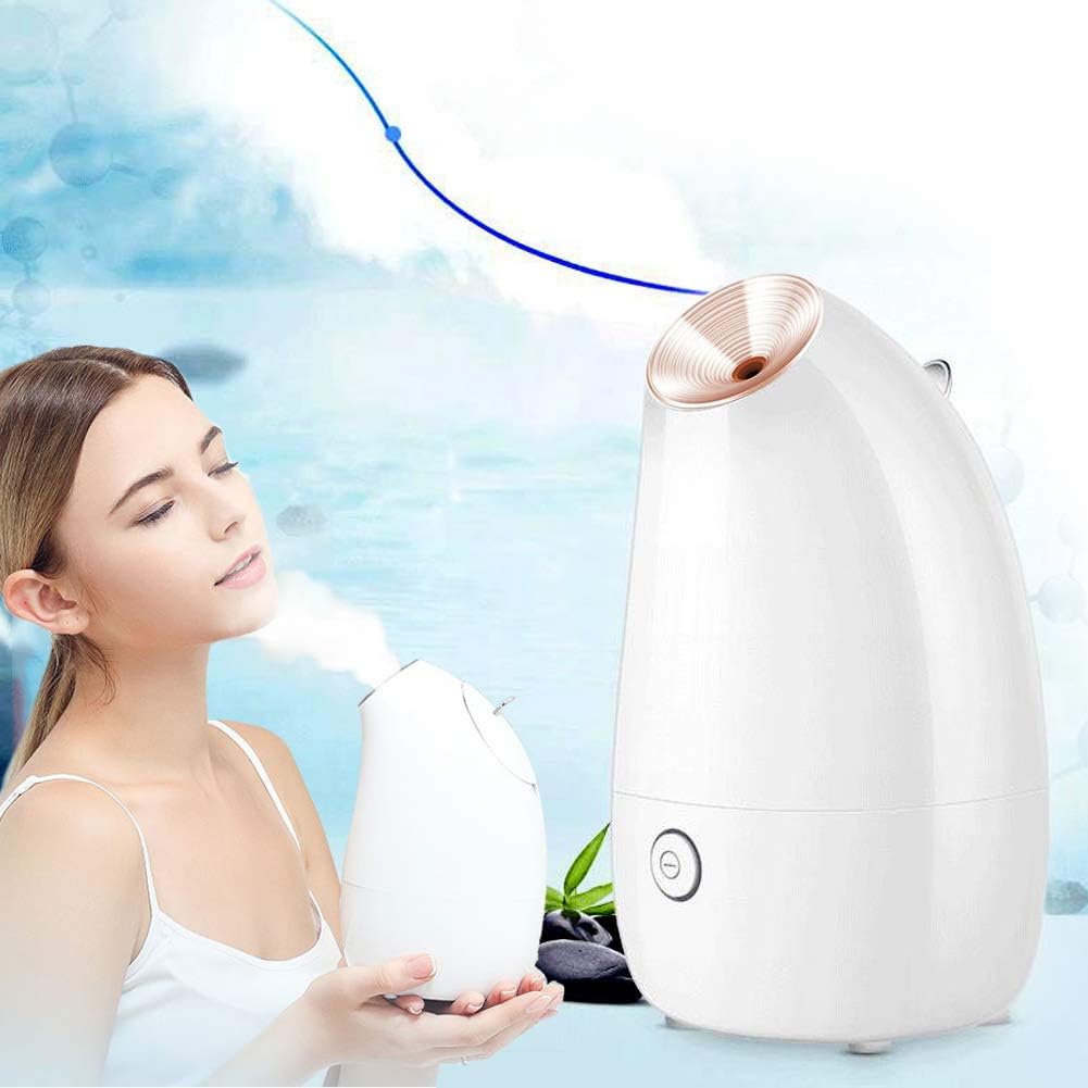 Best 220V Face Steamer