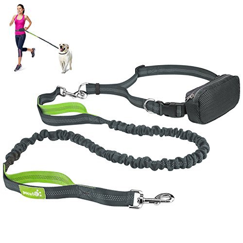 Pecute Hands Free Dog Leash Double Handle Leash with Zipper Pouch -Extendable Bungee with Reflective Stitching - Detachable Waist Belt up to 48” Waist - for Jogging, Running, Hiking (Grey + Green)