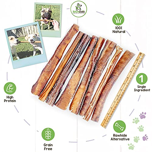 Nature Gnaws Extra Large Bully Sticks for Dogs Premium Natural Beef