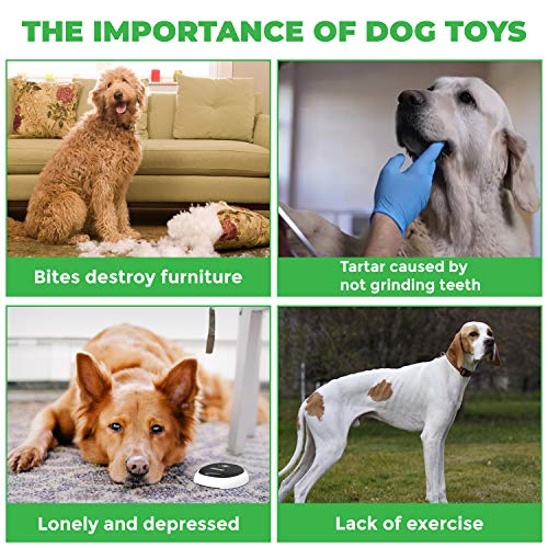 eS Dog Frisbee Training Flying Toy - Durable Dog Rubber Toys - Interactive Flying Disc for Outdoor Training - Soft Floating Dog Frisbees Toy Suitable for Small, Medium Dogs 2 Pcs