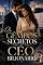 Livro Os Gêmeos Secretos do CEO Bilionário