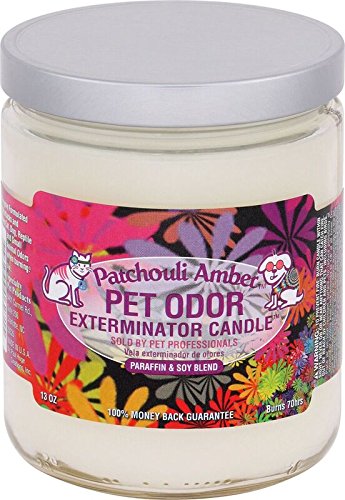 Specialty Pet Products Amber Patchouli Pet Odor Exterminator 13 Ounce Jar Candle (Amber Patchouli, 1)