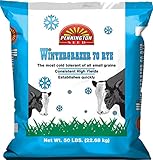 Pennington Wintergrazer 70 Rye Grain Seed - 50