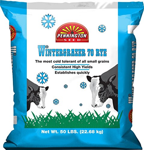 Pennington Wintergrazer 70 Rye Grain Seed - 50 Lbs. (Best Food Plot Seed For Poor Soil)