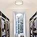 VICNIE 20W LED Ceiling Light, 14 Inch Flush Mount Lighting Fixture,1400 Lumens 3000K Warm White, Dimmable, ETL Listed for Kitchen, Hallway, Bedroom, Stairways (Metal Body and Acrylic Shade)