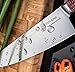 TUO Cutlery Chef Knife - Japanese Damascus Steel - Rose Pattern - Kitchen Knife With Erqonomic G10 Handle (Ring-chef)