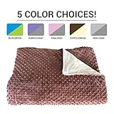 Premium Weighted Blanket, Perfect Size 60