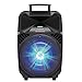 IQ-Sound IQ-5312DJBT 12