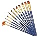 Dainayw Paint Brushes, Acrylic Paint Brush Set for Art Painting, Watercolor, Oil, Rock, Fabric, 12 Pieces