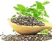Food to Live - Organic Black Chia Seeds, 1 Pound Non-GMO, Whole, Sproutable, Vegan, Kosher, Keto, Sirtfood, Bulk. Rich in Essential Fatty Acids, Fiber, Protein.