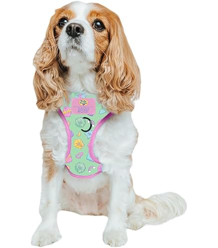 thumbnail image 2 of Sassy Woof Powerpuff Girls Dog Harness - Adjustable No-Pull Design With 2 D-Rings For Small Dogs (Size S) 2 of 12