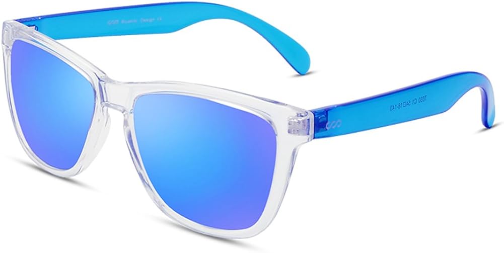 wayfarer sunglasses designer