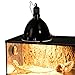 REPTI ZOO Dome Reptile Lamp Fixture,Optical Reflection Cover for Reptile Glass Terrariums