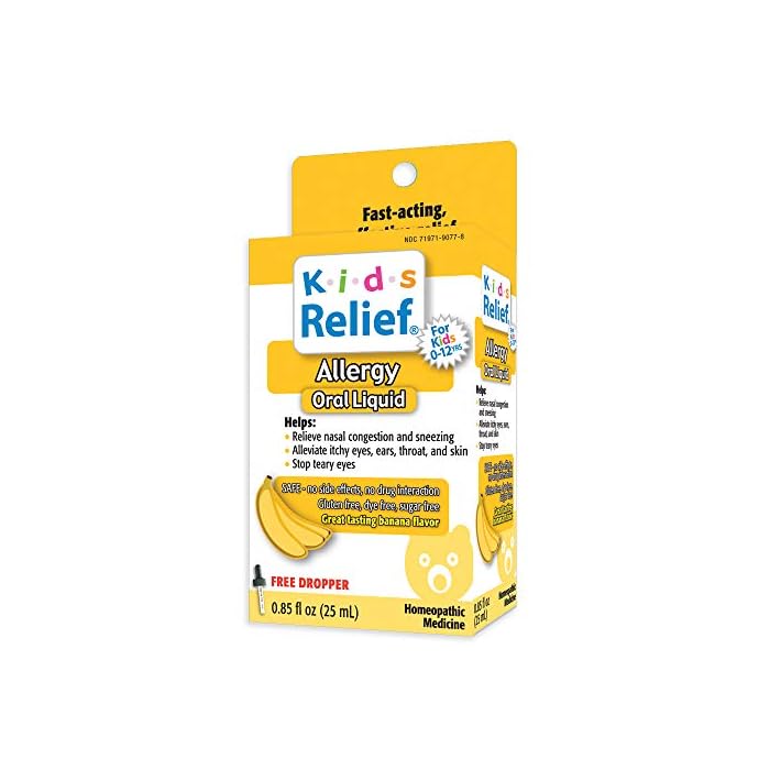 Kids Relief Allergy Oral Solution, 0.85 Fluid Ounce (25 ml)