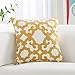 HWY 50 Mustard Yellow Decorative Throw Pillow Covers 18x18 Inch (1 Piece), Embroidered Cotton Farmhouse Cushion Cover Pillow Case for Sofa Couch Living Room Bed, Geometric