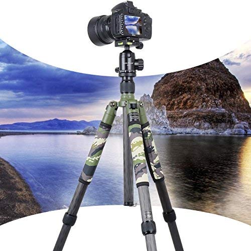 XILETU T284C+FB1 Carbon Fiber Tripod & Ball Head and Removable Monopod