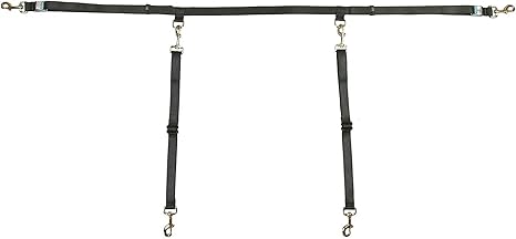 Amazon Com Bushwhacker Two Dog Truck Bed Cross Tether Suv Double Pet Leash Harness Vehicle Dual Restraint Lead Barrier Tie Down Out Pet Supplies