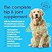 Advanced Glucosamine Powder for Dogs for Arthritis Pain Relief & Hip Dysplasia, Supports Joint Health & Reduces Inflammation with Glucosamine, Chondroitin, MSM & Coral Calcium, 6oz Powder