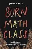 Burn Math Class: And Reinvent Mathematics for Yourself