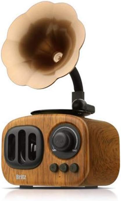 britz speaker price