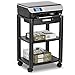 Halter Printer Stand with Cable Management, 3 Tier Printer Cart Rolling Shelf, Black…