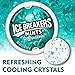 ICE Breakers Mints (Wintergreen, Sugar Free, 1 1.5-Ounce, Pack of 2)