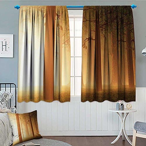 Magic Home Decor Thermal Insulating Blackout Curtain Foggy Mist Hazy Forest with Sun Beams and Rays Spiritual Woodland Spiritual Nature Design Patterned Drape For Glass Door 52"x63" Tan