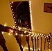 HOPDAY LED String Lights, Copper Wire Lights for Seasonal Decorative Gardens Christmas Holiday Wedding Parties Home Bedroom –Warm White (100 LEDs 33 ft, Low Voltage Plug)