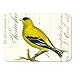 Cavallini & Co. Birds Magnet Set