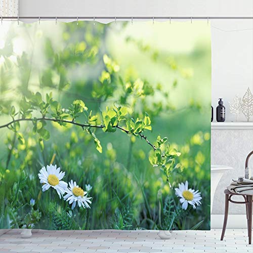 Ahawoso Shower Curtain for Bathroom 72x78 Daisy Stalk Summer Flower Meadow Plant Beautiful Nobody Head in Flowering Spring Sunbeams Nature Polyester Fabric Waterproof Bath Decor Set with Hooks